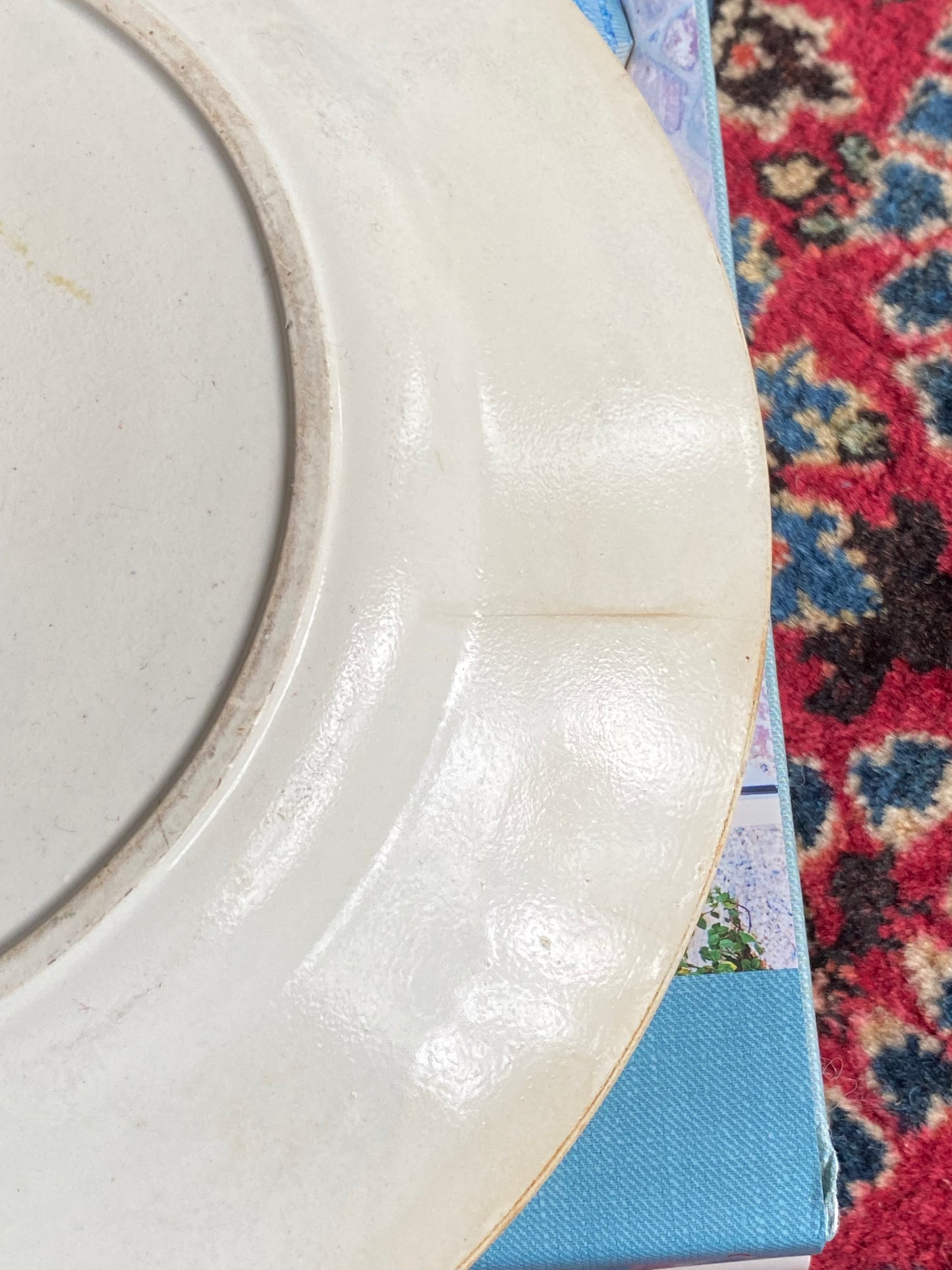 Lovely 1800s Antique W. Adams & Sons Isola Belle Dinner Plate
