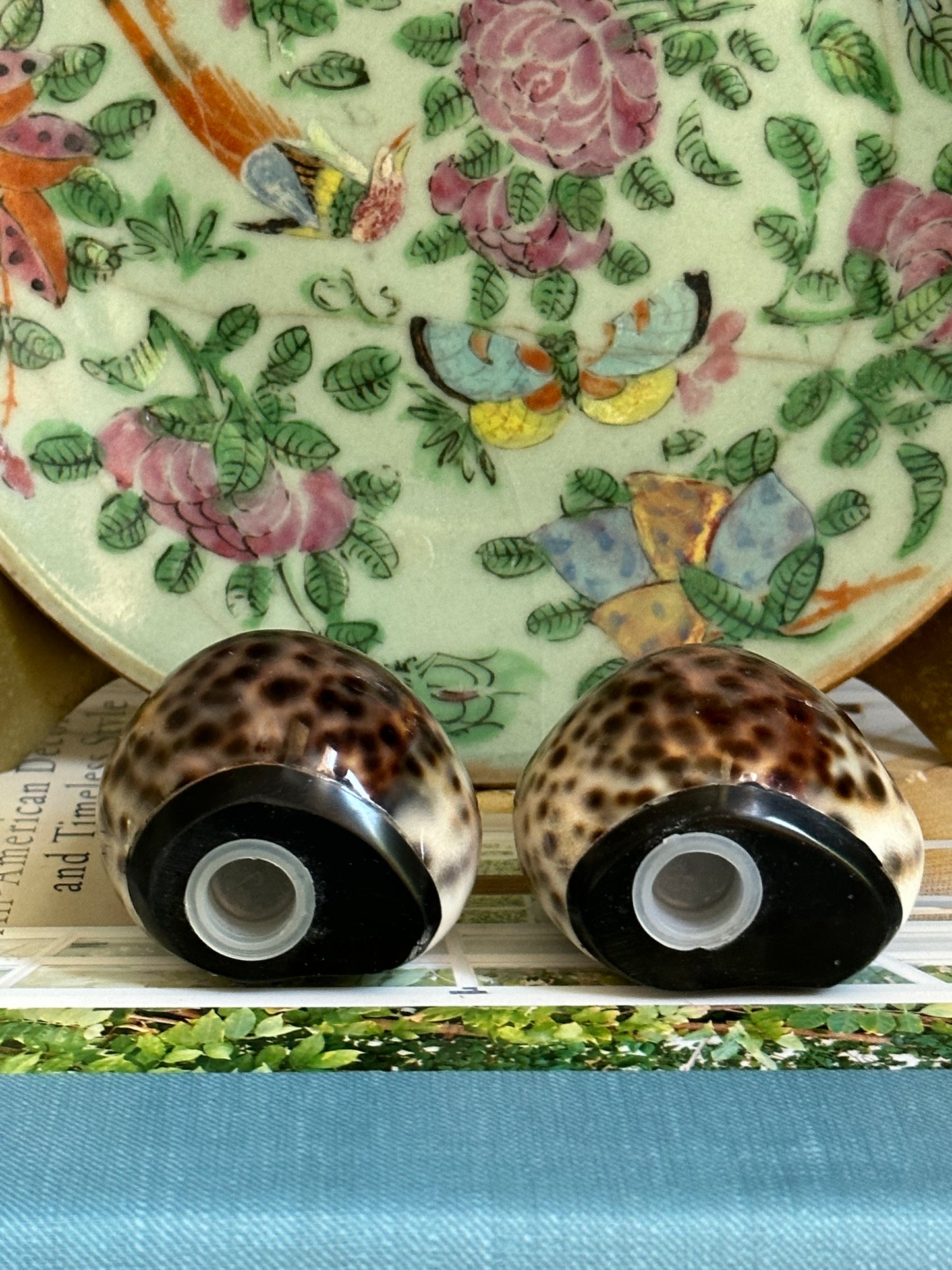 Cowrie Shell Salt and Pepper Shaker. Set of 2.