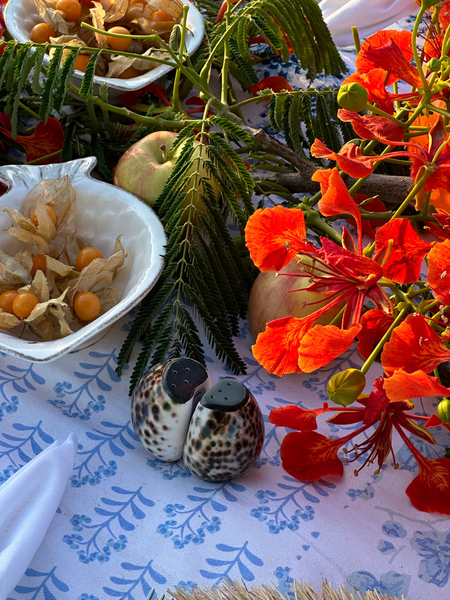 Cowrie Shell Salt and Pepper Shaker. Set of 2.