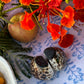 Cowrie Shell Salt and Pepper Shaker. Set of 2.