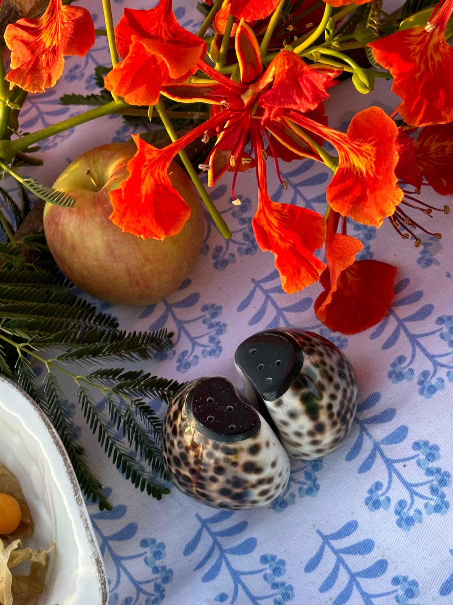 Cowrie Shell Salt and Pepper Shaker. Set of 2.