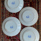 1800s Antique W. Adams & Sons Isola Belle Dinner Plate