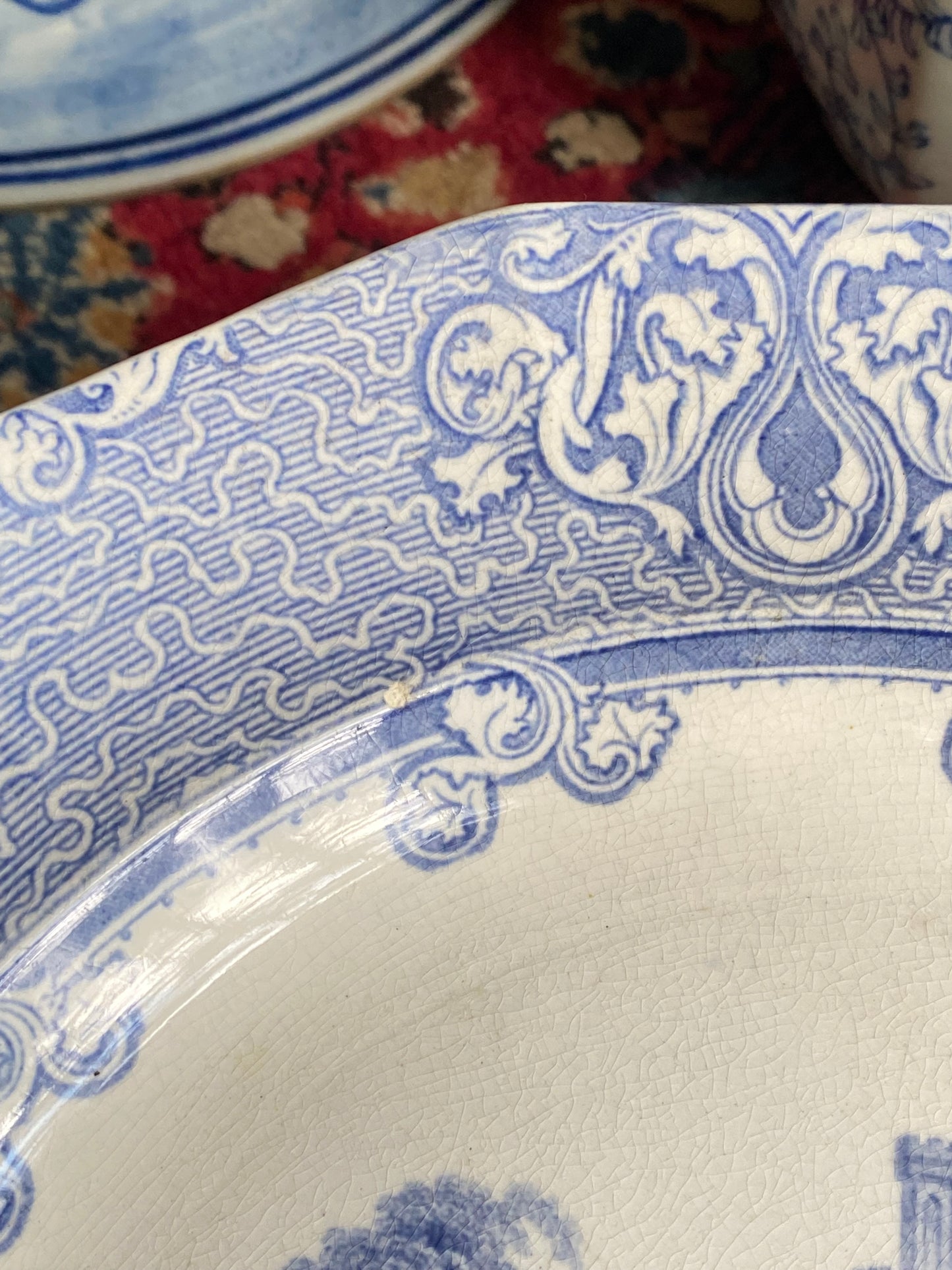 1800s Antique by John Alcock Cologne Pattern Dinner Plate