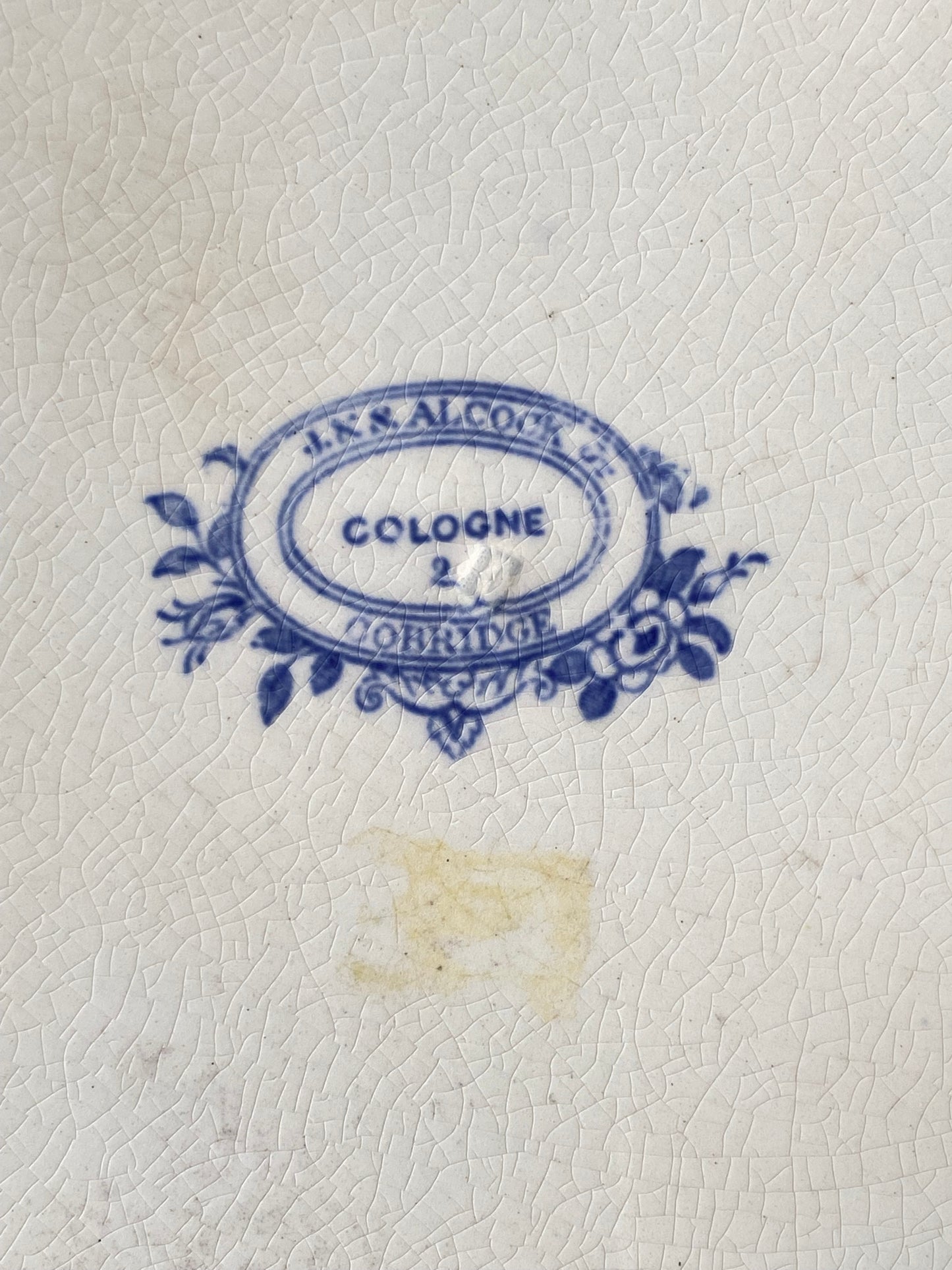 1800s Antique by John Alcock Cologne Pattern Dinner Plate