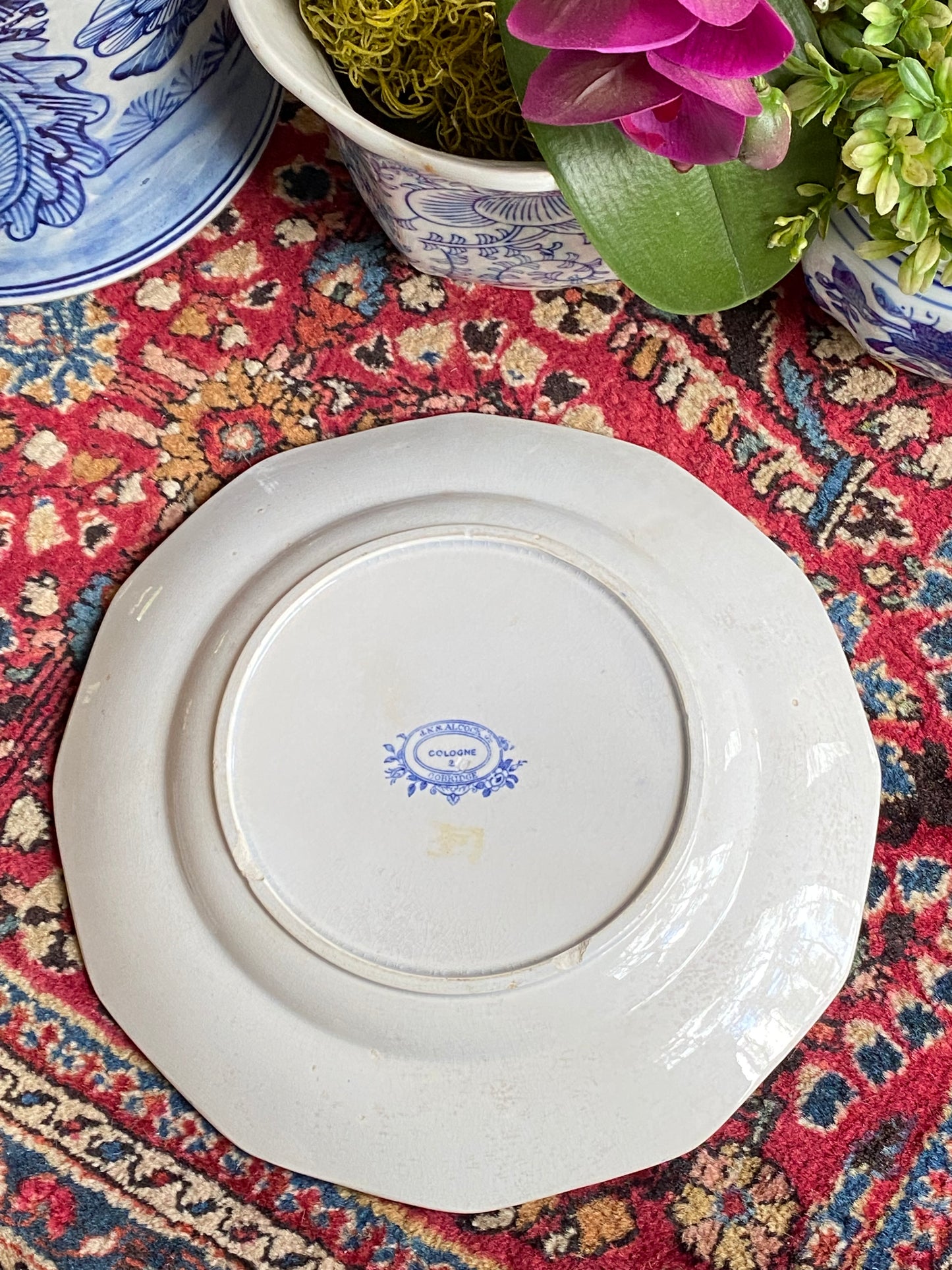 1800s Antique by John Alcock Cologne Pattern Dinner Plate