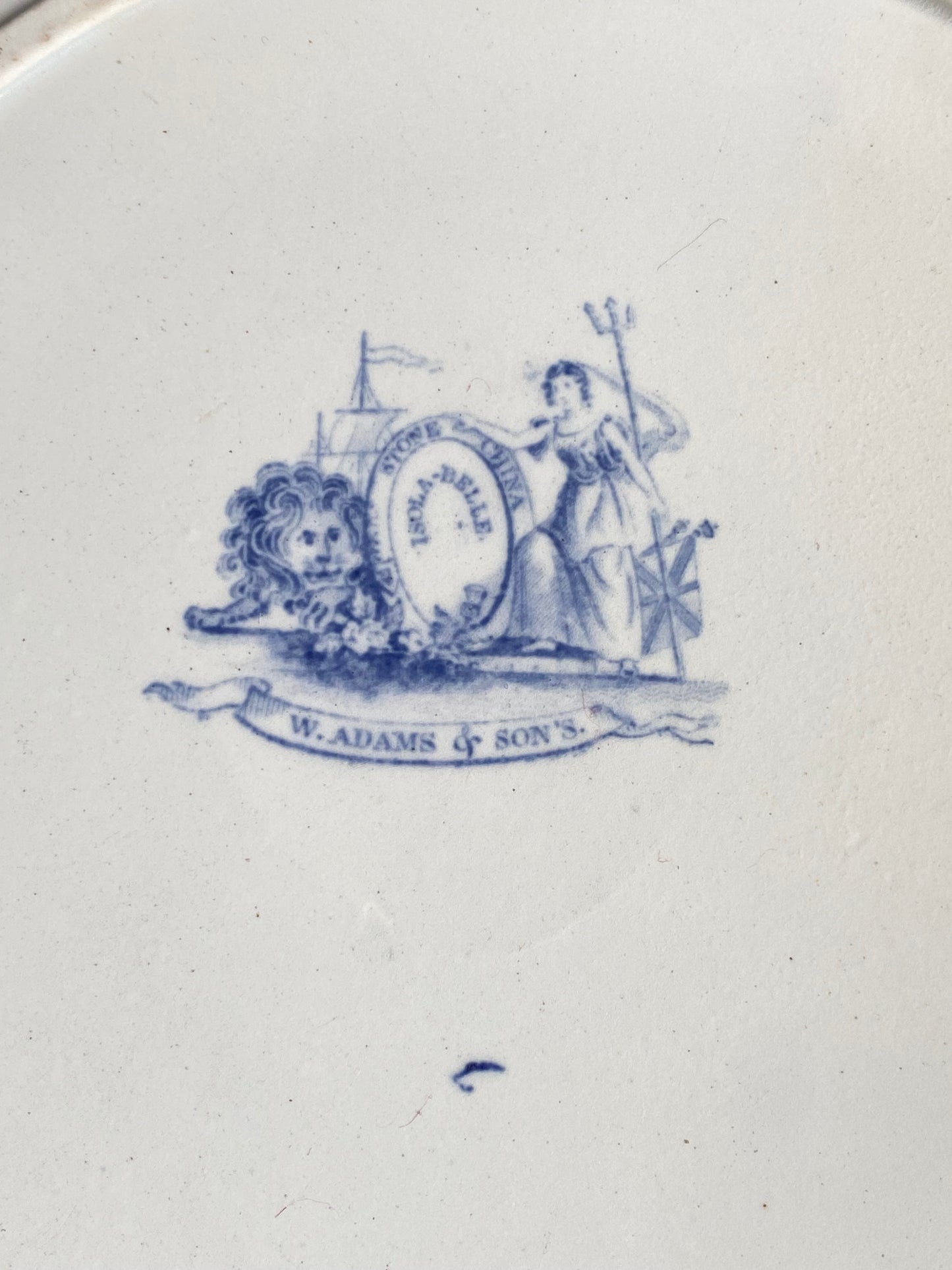 Lovely 1800s Antique W. Adams & Sons Isola Belle Dinner Plate