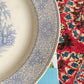 Lovely 1800s Antique W. Adams & Sons Isola Belle Dinner Plate