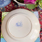 Lovely 1800s Antique W. Adams & Sons Isola Belle Dinner Plate