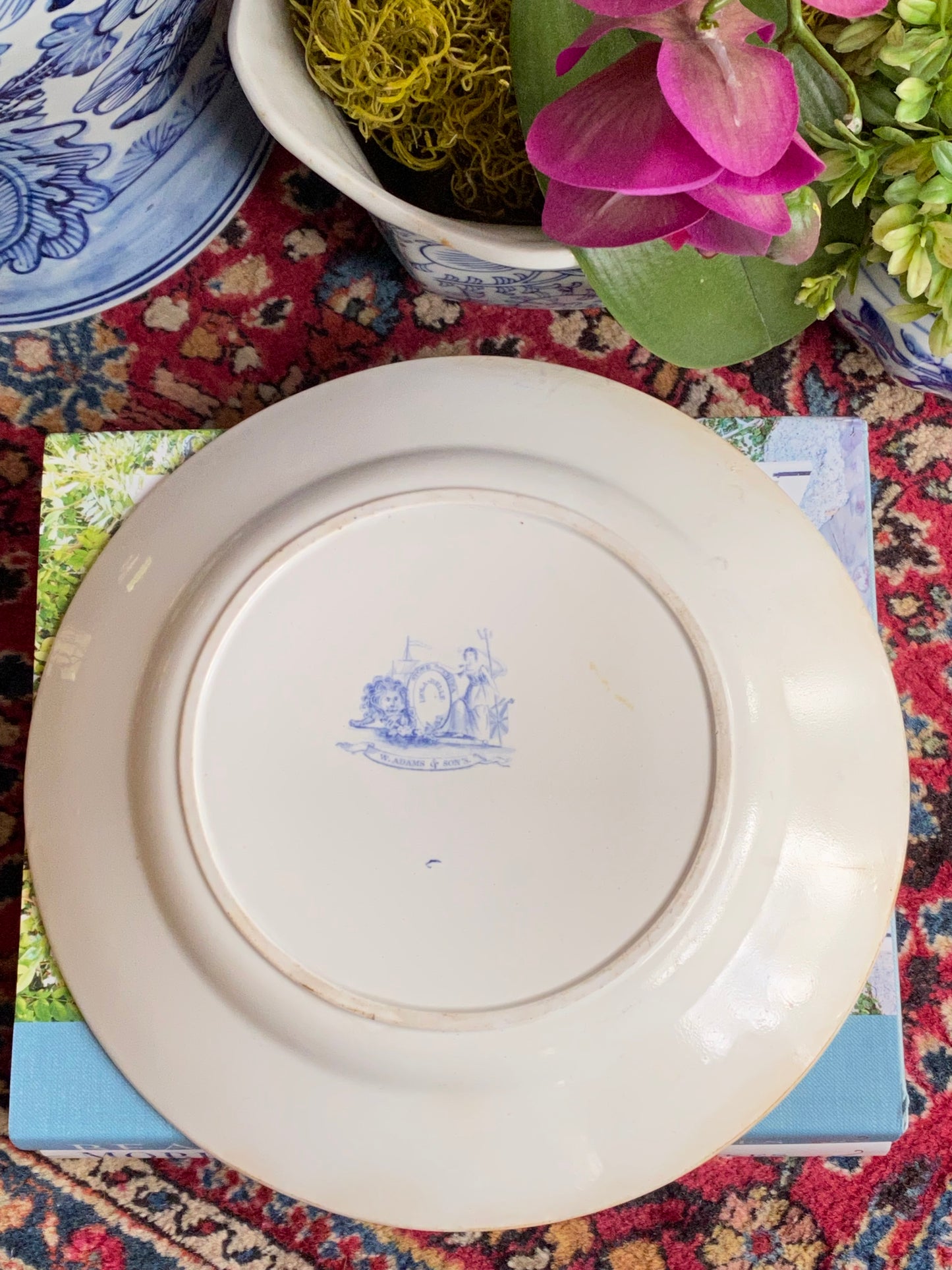 Lovely 1800s Antique W. Adams & Sons Isola Belle Dinner Plate