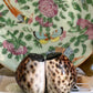 Cowrie Shell Salt and Pepper Shaker. Set of 2.