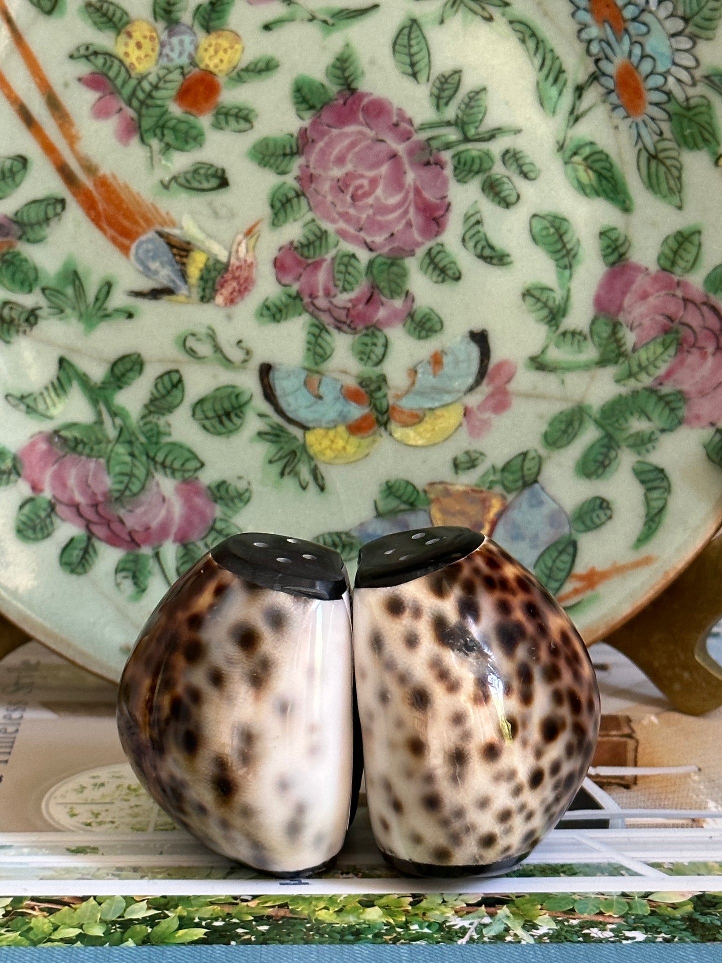 Cowrie Shell Salt and Pepper Shaker. Set of 2.