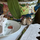 Cowrie Shell Salt and Pepper Shaker. Set of 2.