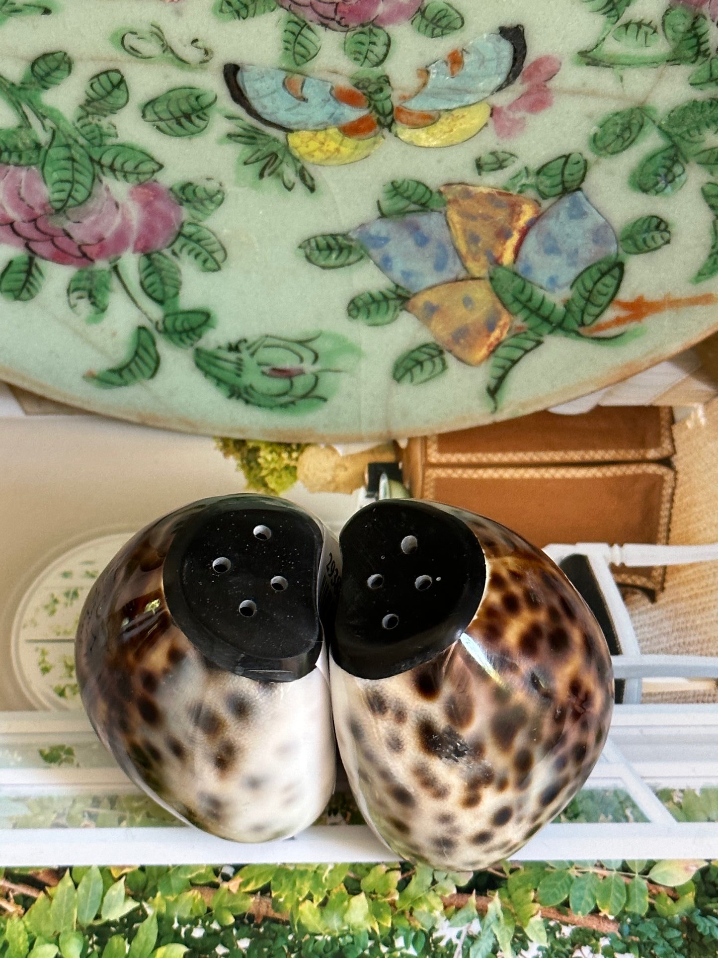 Cowrie Shell Salt and Pepper Shaker. Set of 2.